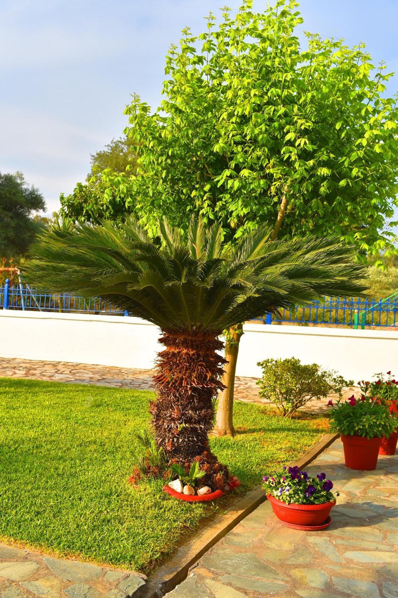 Villa Elpida Kanali  Ngoại thất bức ảnh
