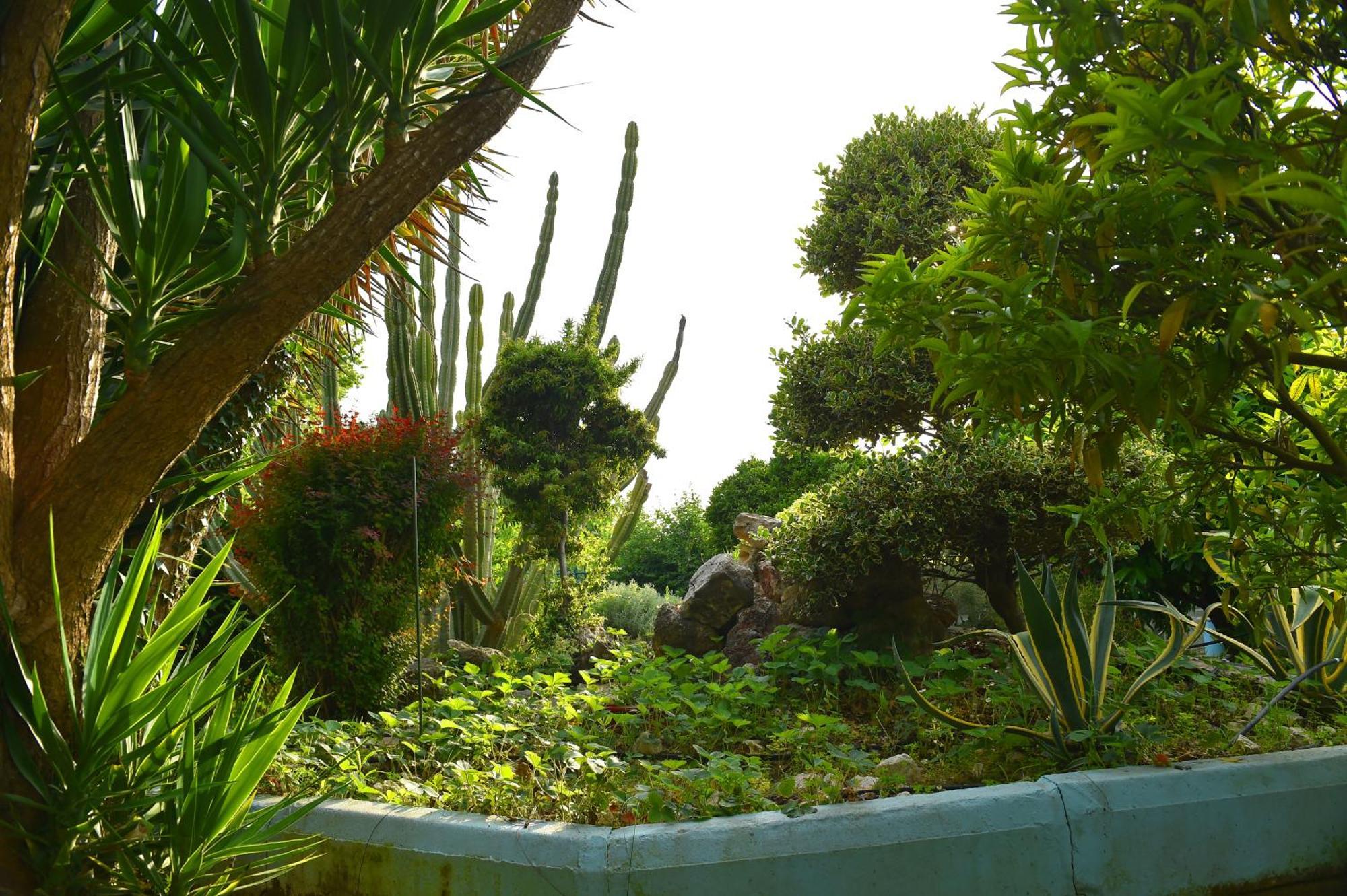 Villa Elpida Kanali  Ngoại thất bức ảnh
