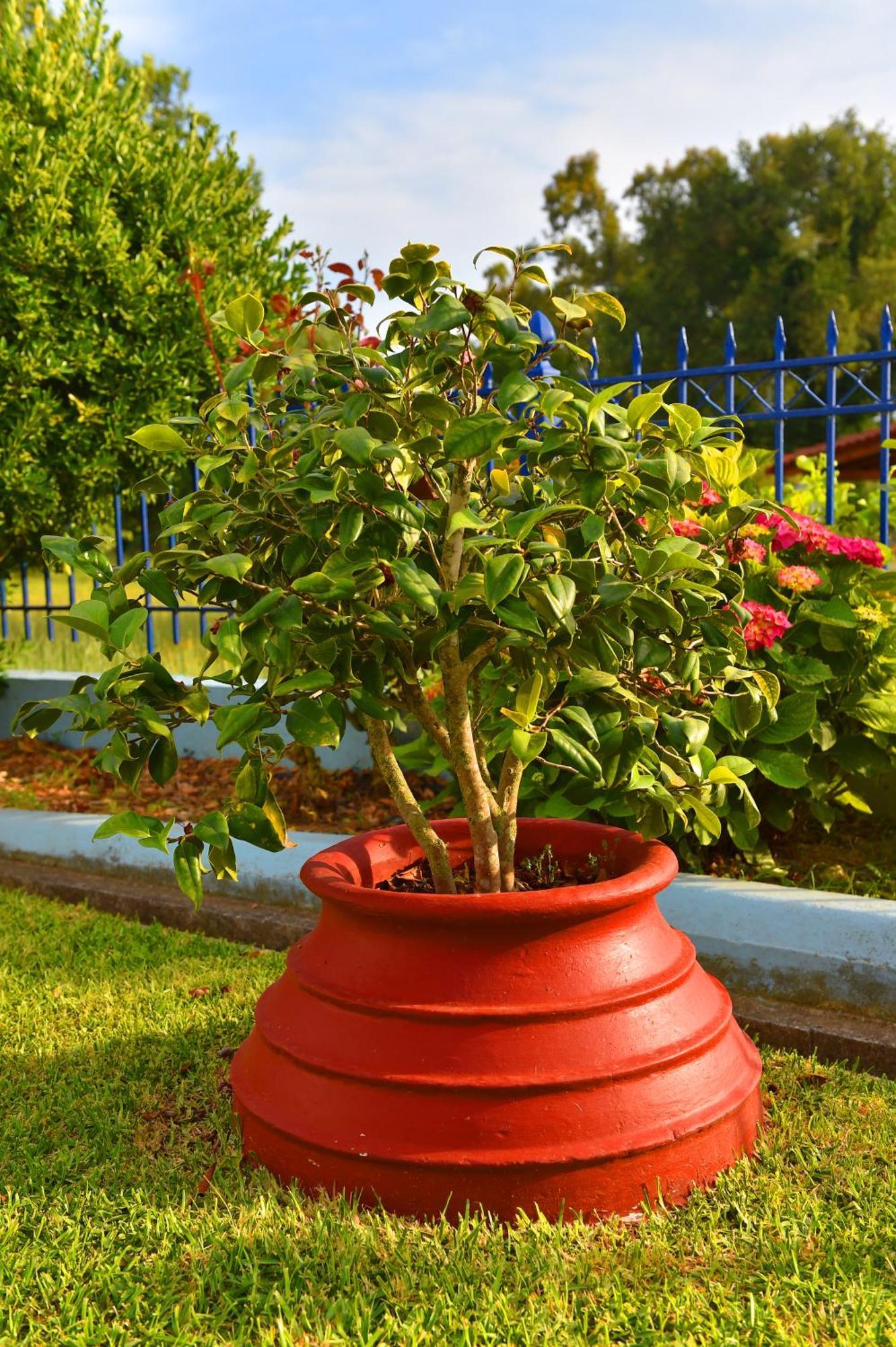 Villa Elpida Kanali  Ngoại thất bức ảnh